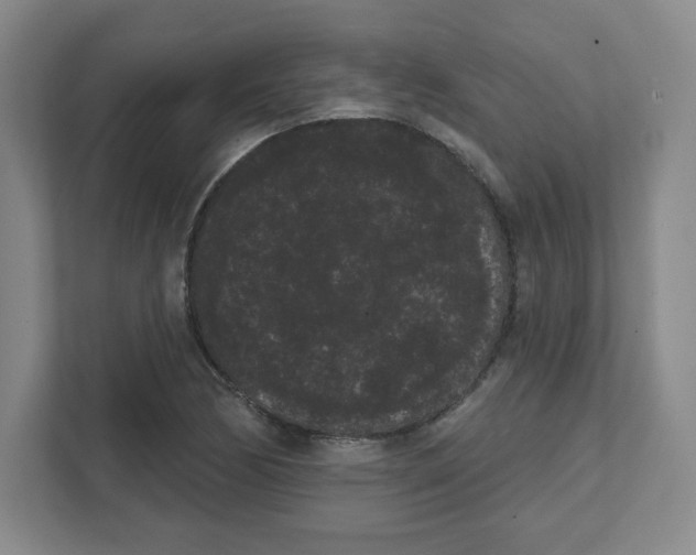 X0000111461170200908101048