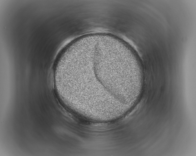 X0000111461171200908101048