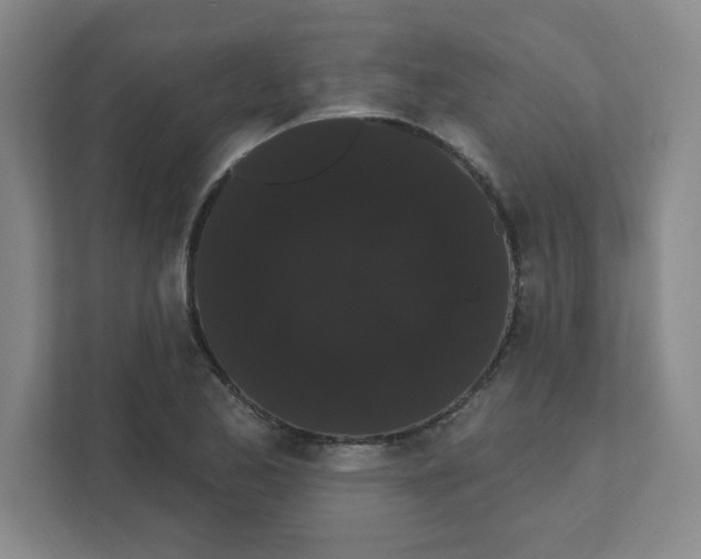 X0000111461173200908101048