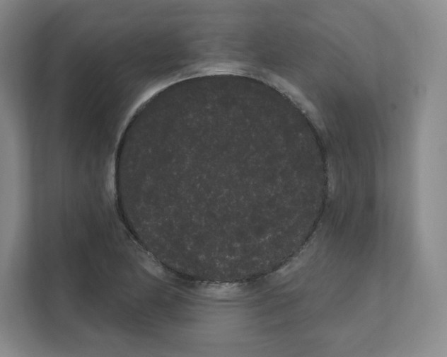 X0000111461174200908101048