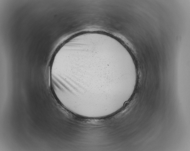 X0000111461175200908101048