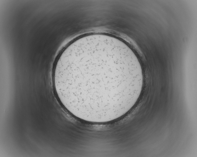 X0000111461176200908101048