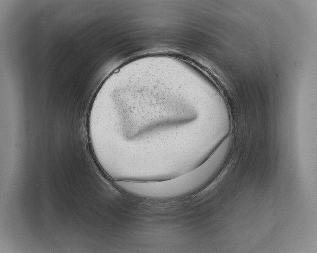 X0000111461177200908101048