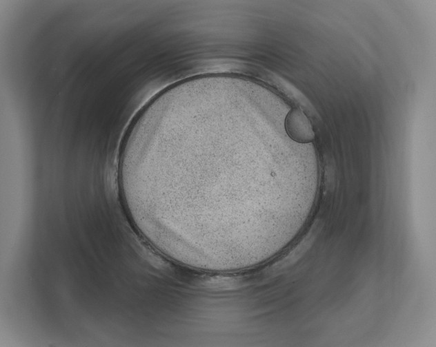 X0000111461178200908101048
