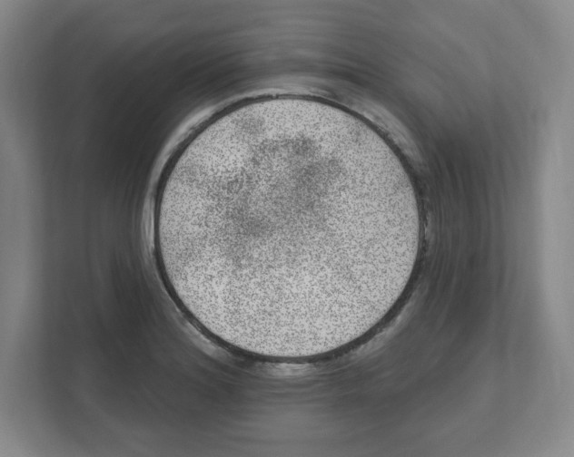 X0000111461180200908101048
