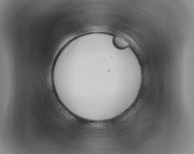 X0000111461182200908101048
