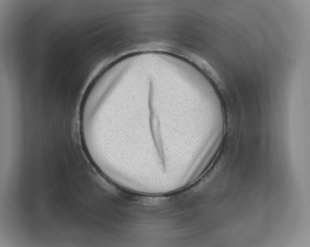 X0000111461184200908101048