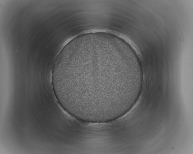 X0000111461185200908101048