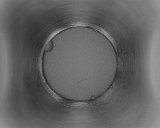 X0000111461187200908101048