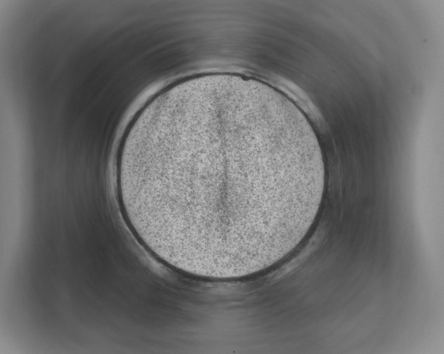 X0000111461188200908101048