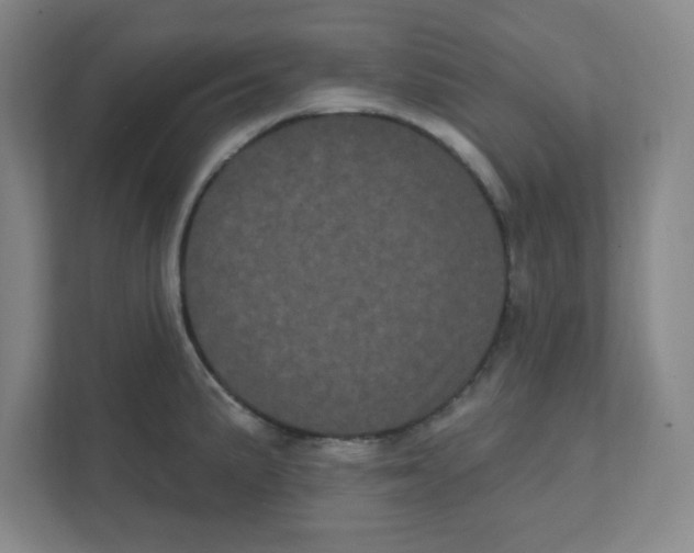 X0000111461191200908101048