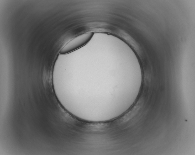 X0000111461193200908101048