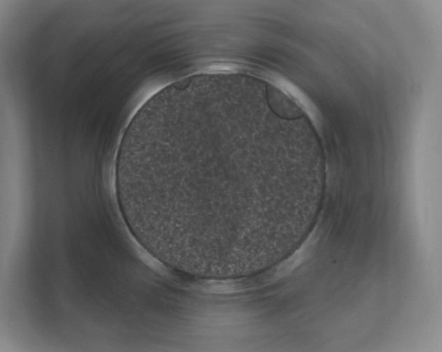 X0000111461194200908101048