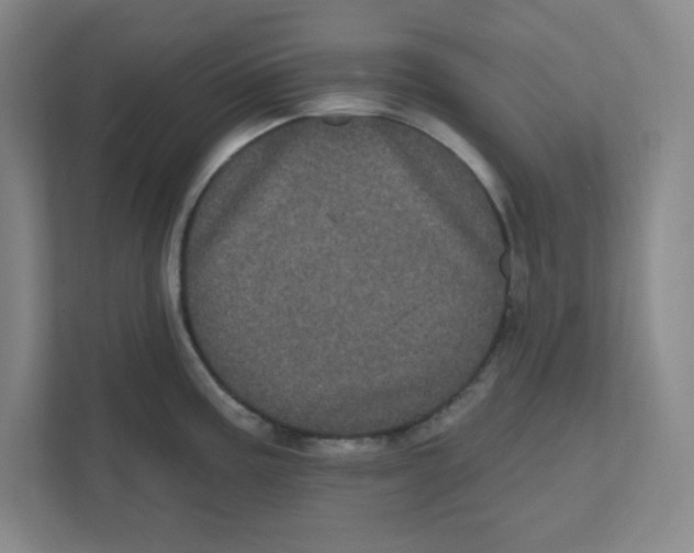 X0000111461195200908101048
