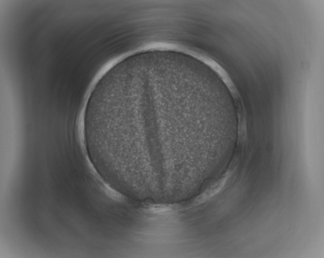 X0000111461199200908101048