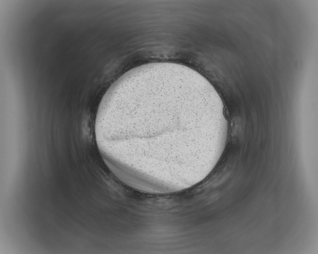 X0000111461202200908101047