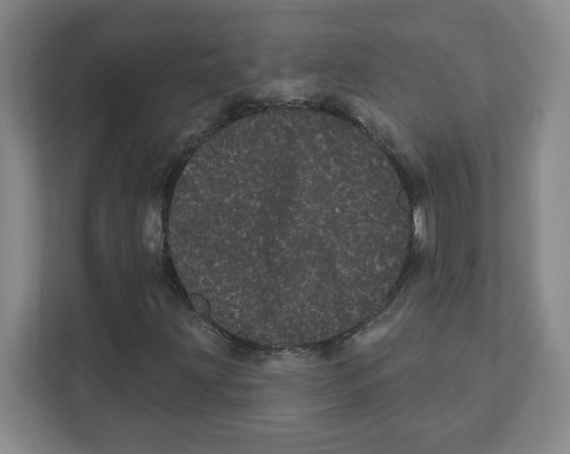 X0000111461203200908101047