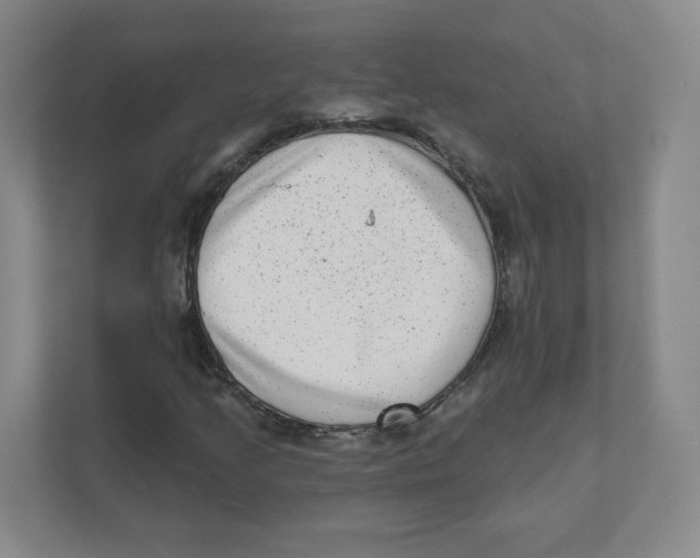 X0000111461205200908101048