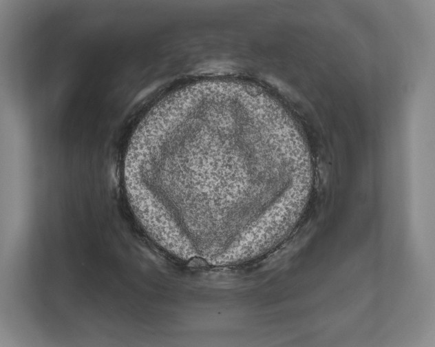 X0000111461206200908101048