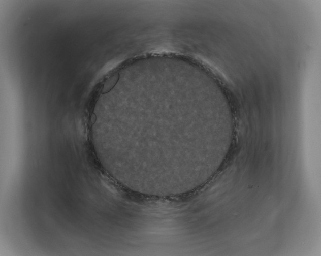 X0000111461207200908101048