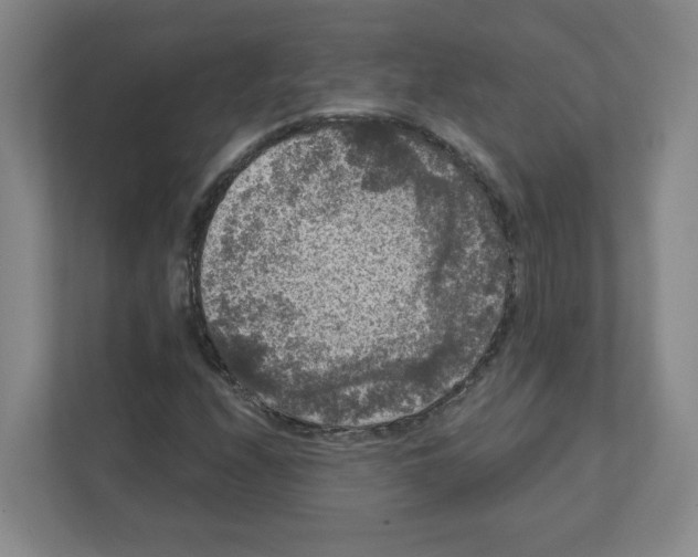 X0000111461208200908101048