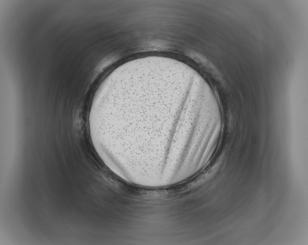 X0000111461210200908101048