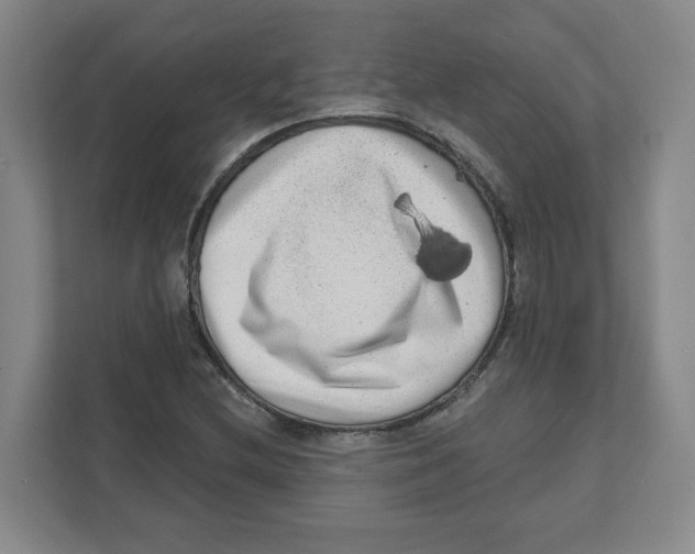 X0000111461212200908101048