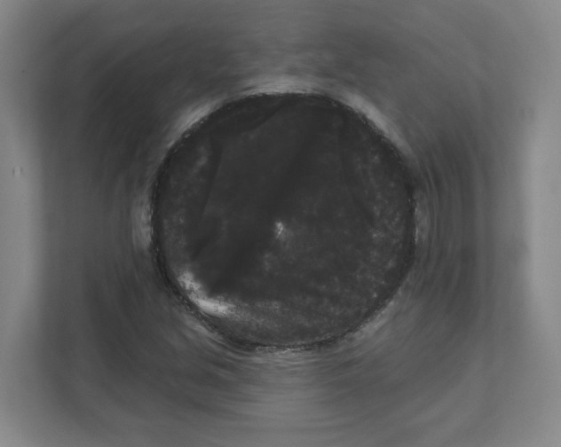X0000111461213200908101048