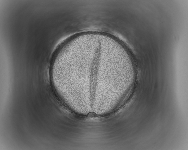 X0000111461214200908101048