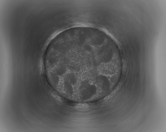 X0000111461215200908101048