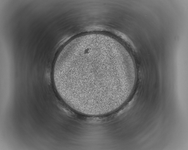 X0000111461217200908101048
