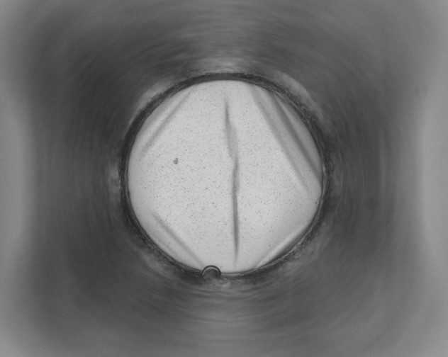 X0000111461218200908101048