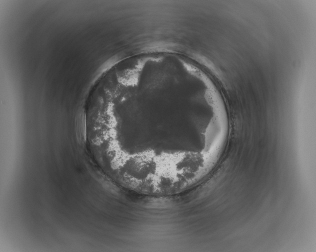 X0000111461219200908101048