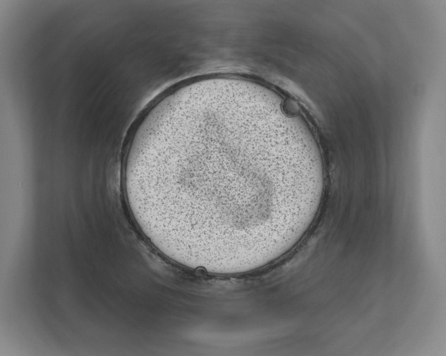X0000111461220200908101048