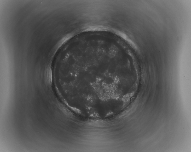 X0000111461221200908101048