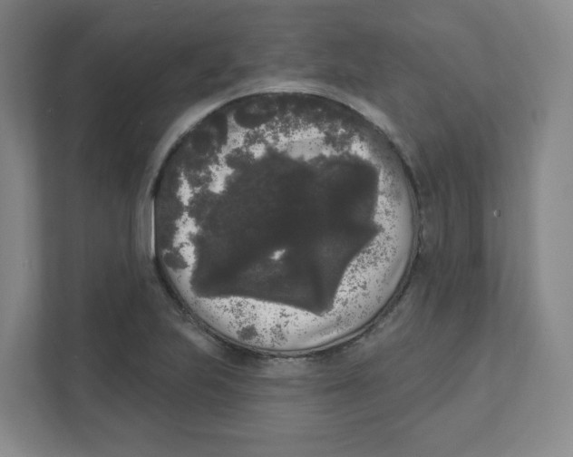 X0000111461223200908101048