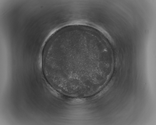 X0000111461224200908101048