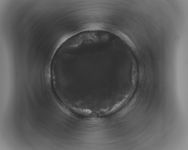 X0000111461226200908101048