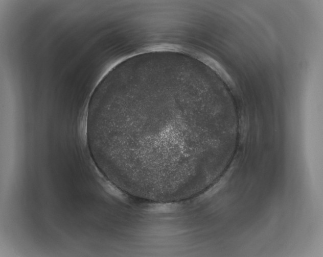 X0000111461228200908101048