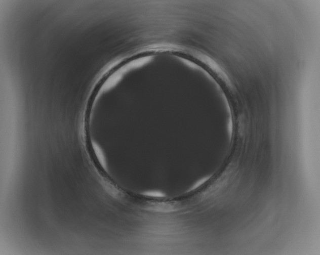 X0000111461229200908101048