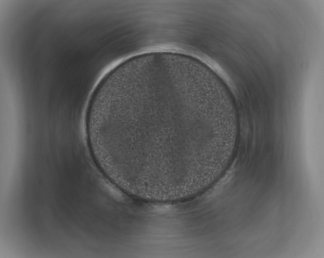 X0000111461230200908101048