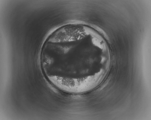 X0000111461231200908101048