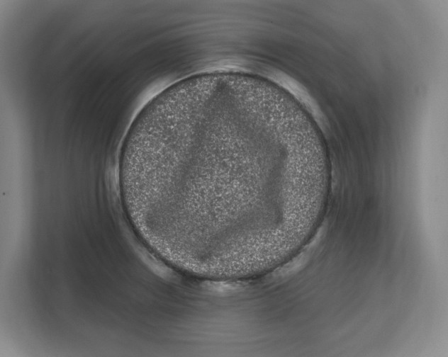 X0000111461234200908101048