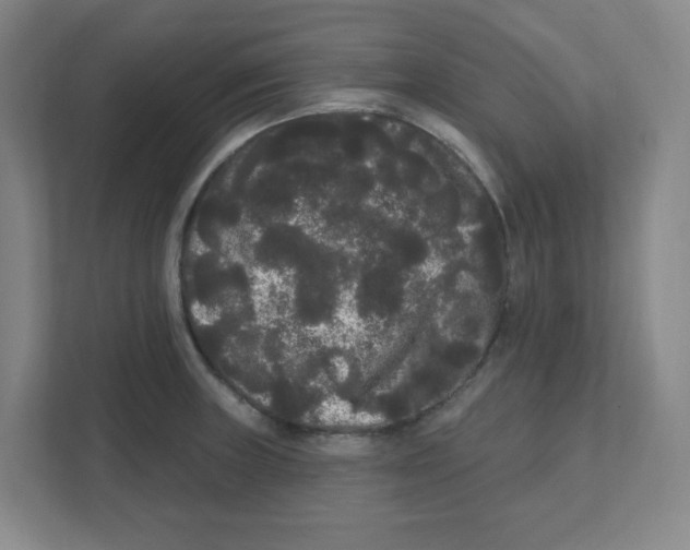 X0000111461235200908101048