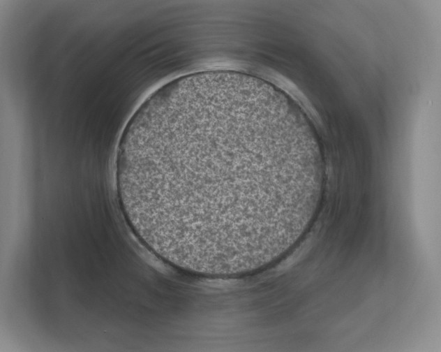 X0000111461236200908101048