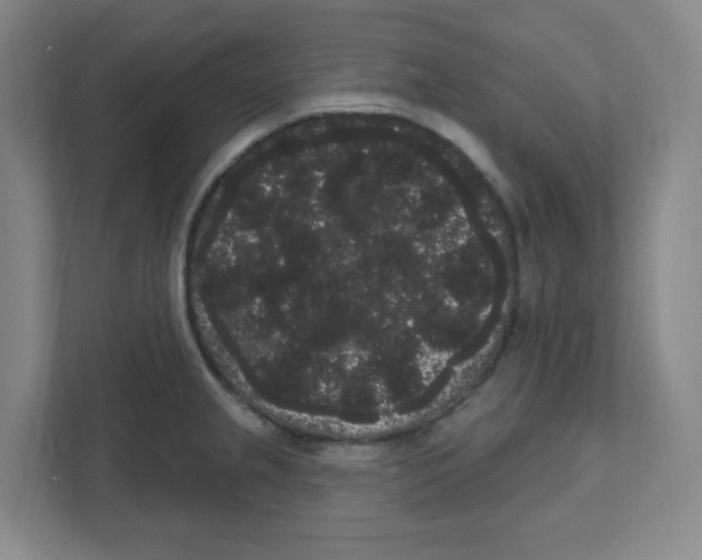 X0000111461237200908101048