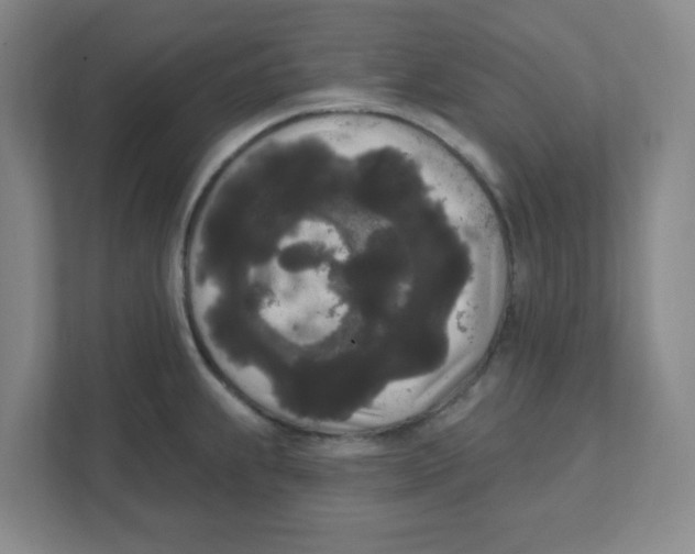 X0000111461239200908101048