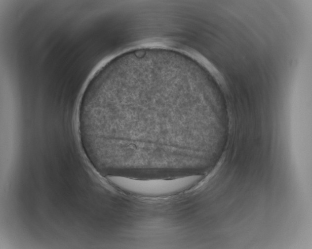 X0000111461240200908101048