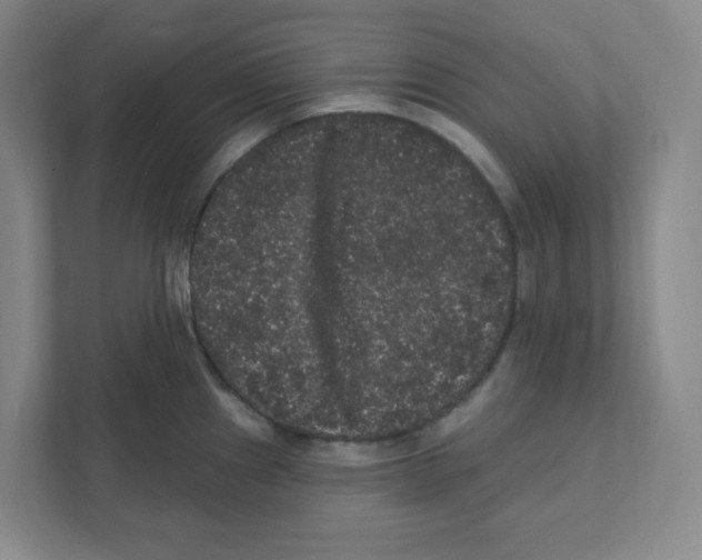X0000111461241200908101048