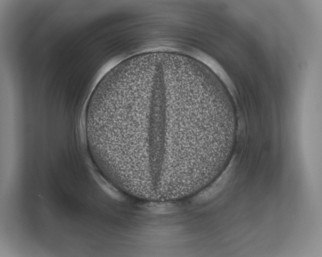 X0000111461242200908101048